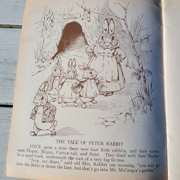 The Tale of Peter Rabbit Book ~ Reproduction of Vintage Book ~ Colorful & Cute! - Picture 4 of 16